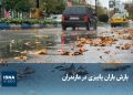 ویدیو/ بارش باران پاییزی در مازندران