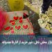 ویدیو/ یلدا در بازار محلی بابل؛ شور خرید از انار تا هندوانه