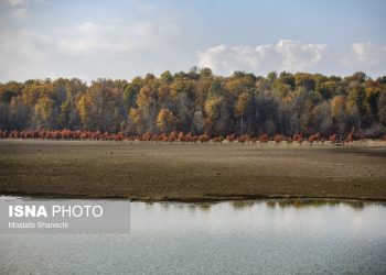 پاییز خشک مازندران؛ دریاچه الندان نفس کم می‌آورد