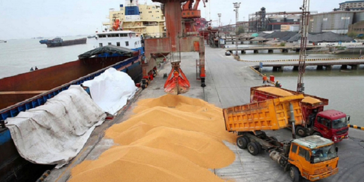 پهلوگیری ۱۰ هزار تن گندم در بندر امیرآباد