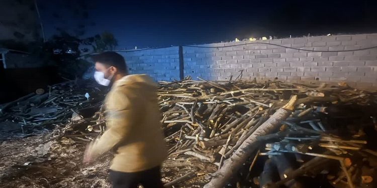 کشف ۹ تن چوب قاچاق از مراکز دپوی چوب در ساری و نکا