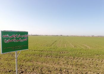 حق ندارید با زمین دانشگاه مسکن بسازید!
