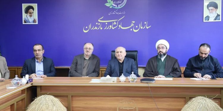 استاندار مازندران: اولویت با معیشت مردم و توسعه کشاورزی مدرن است