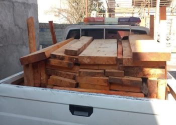 سرپرست منابع طبیعی آمل: ۱۰ مترمکعب چوب جنگلی قاچاق کشف شد