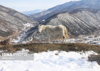طبیعت برفی دریاچه شورمست سوادکوه