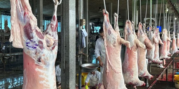 عرضه بیش از ۱۹۱ هزار تن گوشت مرغ و ۱۱ هزار تن گوشت قرمز به بازار