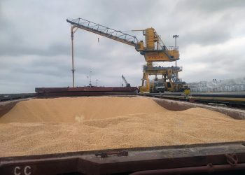 مدیرکل دامپزشکی مازندران: نهاده‌های دامی بدون هیچ خللی از ۳ بندر استان ترخیص شد