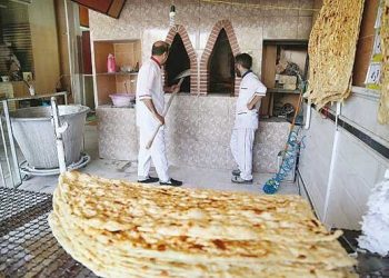 معاون استاندار مازندران: کارخانجات آرد از تحویل گندم بی کیفیت خودداری کنند