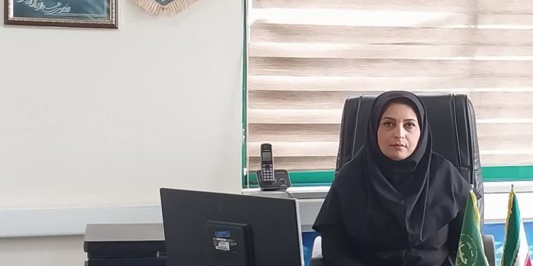 ۸ میلیارد ریال تسهیلات برای جهش مشاغل خانگی در نور