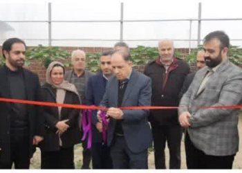 افتتاح همزمان از سه طرح کلان کشاورزی در محمودآباد