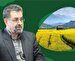 انتخاب ۳۶ زن به عنوان تسهیل‌گر توسعه روستایی و عشایری در مازندران