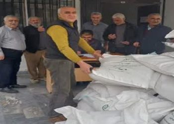 آغاز توزیع بذر برنج در نور؛ جهش تولید در اولویت