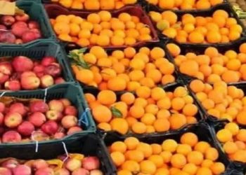 آغاز توزیع ١٨ تن سیب و پرتقال تنظیم بازار در بهشهر