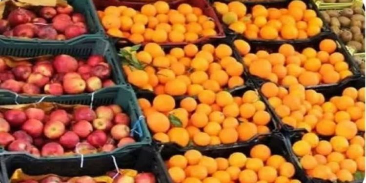 آغاز توزیع ١٨ تن سیب و پرتقال تنظیم بازار در بهشهر
