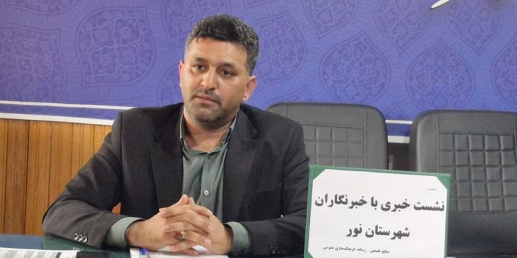 افزایش بیش از ۴۰ درصدی زراعت چوب در نور