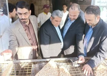 توزیع آرد مرغوب در میان خبازی‌های بابل