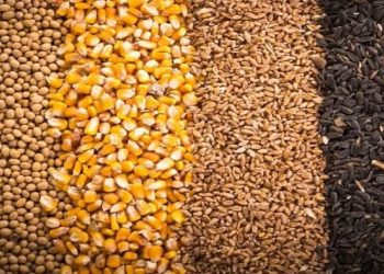 توزیع بیش از ۱۸۹ هزار تن نهاده و کالا در مازندران