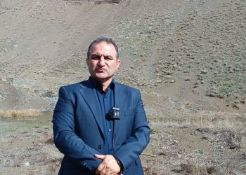مدیرکل منابع طبیعی مازندران - نوشهر: قوانین قطع درخت بازدارنده نیست