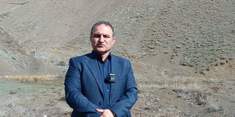 مدیرکل منابع طبیعی مازندران - نوشهر: قوانین قطع درخت بازدارنده نیست