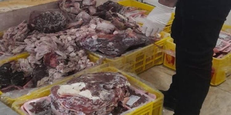 معدوم سازی ۲۳۱ کیلوگرم فرآورده‌های خام دامی تاریخ منقضی در بابلسر