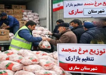 ۳۸ تن مرغ منجمد تنظیم بازاری در ساری توزیع می‌شود