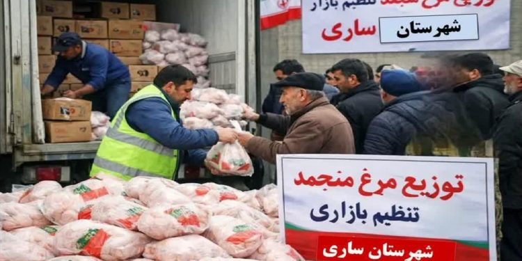۳۸ تن مرغ منجمد تنظیم بازاری در ساری توزیع می‌شود