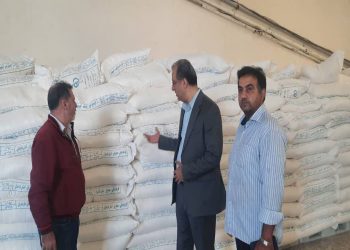 ذخیره آرد در مازندران مطلوب است