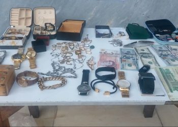 زمینگیر شدن سارق طلاجات و اموال منزل به ضرب گلوله پلیس