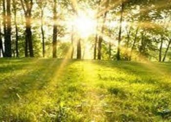 پیش بینی جوی آرام از فردا در مازندران