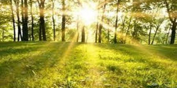 پیش بینی جوی آرام از فردا در مازندران