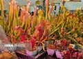 شکارچیان سبز در خدمت محیط‌زیست؛ تجربه‌ای از تولید دانش‌بنیان در حوزه‌ای نوپا