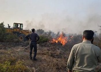 مهار آتش‌سوزی در پناهگاه حیات وحش میانکاله