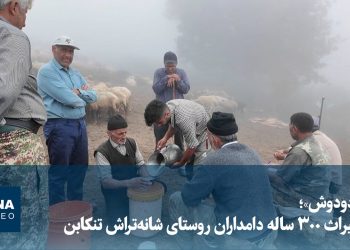 ویدیو/ «دودوش»؛ میراث ۳۰۰ ساله دامداران روستای شانه‌تراش تنکابن