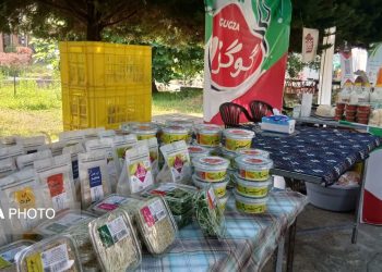گام جهاد کشاورزی بابل در مسیر امنیت غذایی