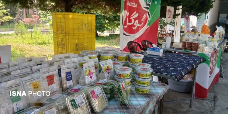 گام جهاد کشاورزی بابل در مسیر امنیت غذایی