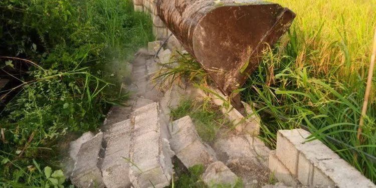 آزادسازی ۵۳ هزار متر مربع از اراضی کشاورزی در سرخرود