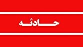 تلف شدن یک قلاده خرس قهوه‌ای بر اثر برخورد با قطار در سوادکوه