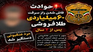 مرد عنکبوتی طلا‌ها را برد؛ راز سرقت ۶۰ میلیاردی پس از ۲ سال فاش شد+ فیلم