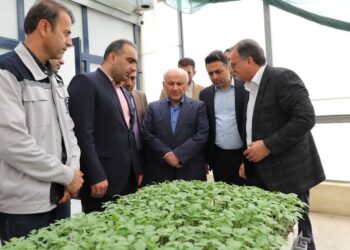 تأکید استاندار بر جهش بهره‌وری، تحول کشاورزی و مسئولیت اجتماعی در مازندران