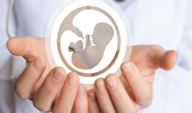 تاکید متخصص بر درمان علت‌محور ناباروری؛ IVF تنها یکی از گزینه‌هاست