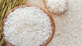 تولید بیش از ۸۸ هزار تن برنج سفید، ارمغان شالیزار‌های محمودآباد برای ایرانی ها