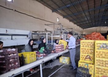 صدور مجوز بهره‌برداری ۱۸ واحد صنایع تبدیلی و غذایی در مازندران طی ۵ ماه نخست امسال