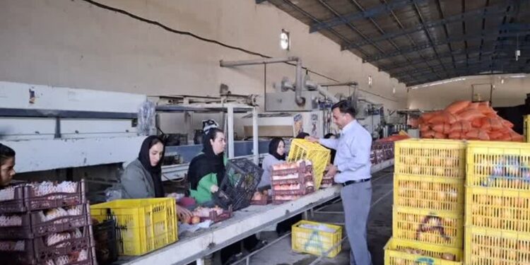 صدور مجوز بهره‌برداری ۱۸ واحد صنایع تبدیلی و غذایی در مازندران طی ۵ ماه نخست امسال