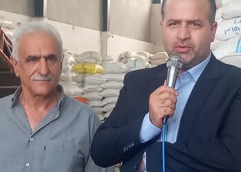 ضرورت تجمیع واحدهای کوچک و احداث کارخانه‌های بزرگ کشاورزی در بابل
