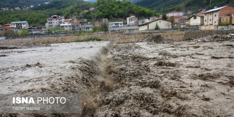 مرگ شمار بالای ماهی‌ها در رودخانه تلار قائم‌شهر؛ بررسی آلودگی هم‌زمان با بارندگی‌های اخیر