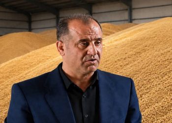 وضعیت مناسب ذخایر گندم مازندران