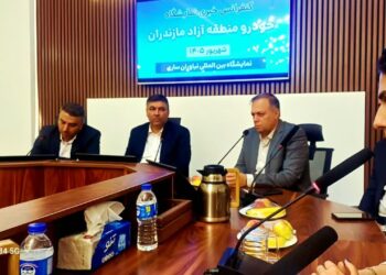 پلاک‌گذاری بیش از ۱۰۰۰ خودرو در منطقه آزاد مازندران/ ۶۶ خودرو در یک روز ترخیص شد