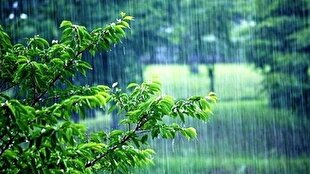 بارندگی و کاهش دما مهمان مازندران در دو روز آینده