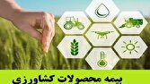 تقویت بیمه کشاورزی، گامی مؤثر در مدیریت ریسک و پایداری تولید