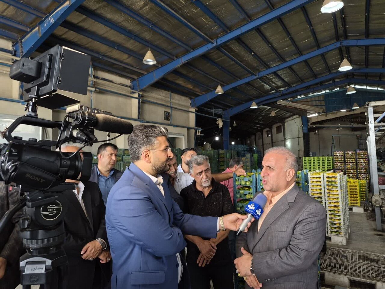 فرماندار ساری: نارنگی ساری باید به یک برند تجاری تبدیل شود